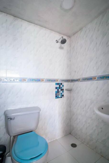 307 Palanoa - Rodadero